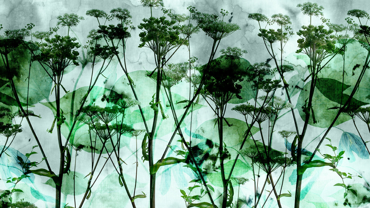 Wild Plants