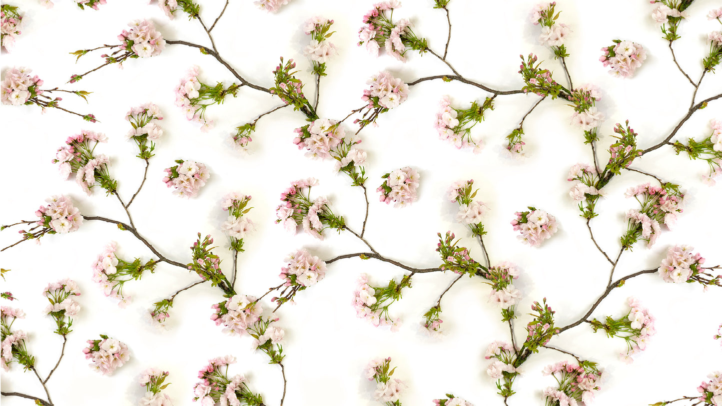 Blossom Ingeborg