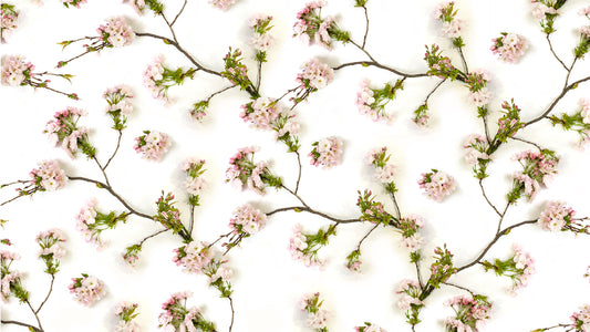 Blossom Ingeborg