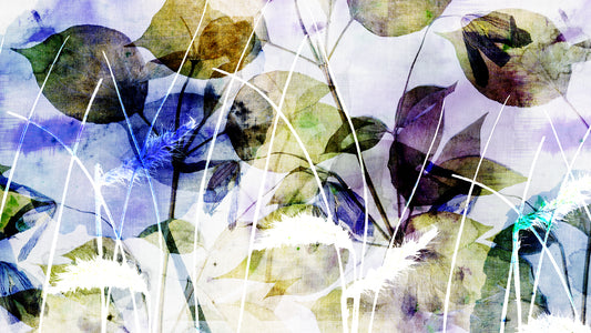 Wild flowers