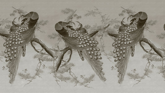 Peacocks in brown