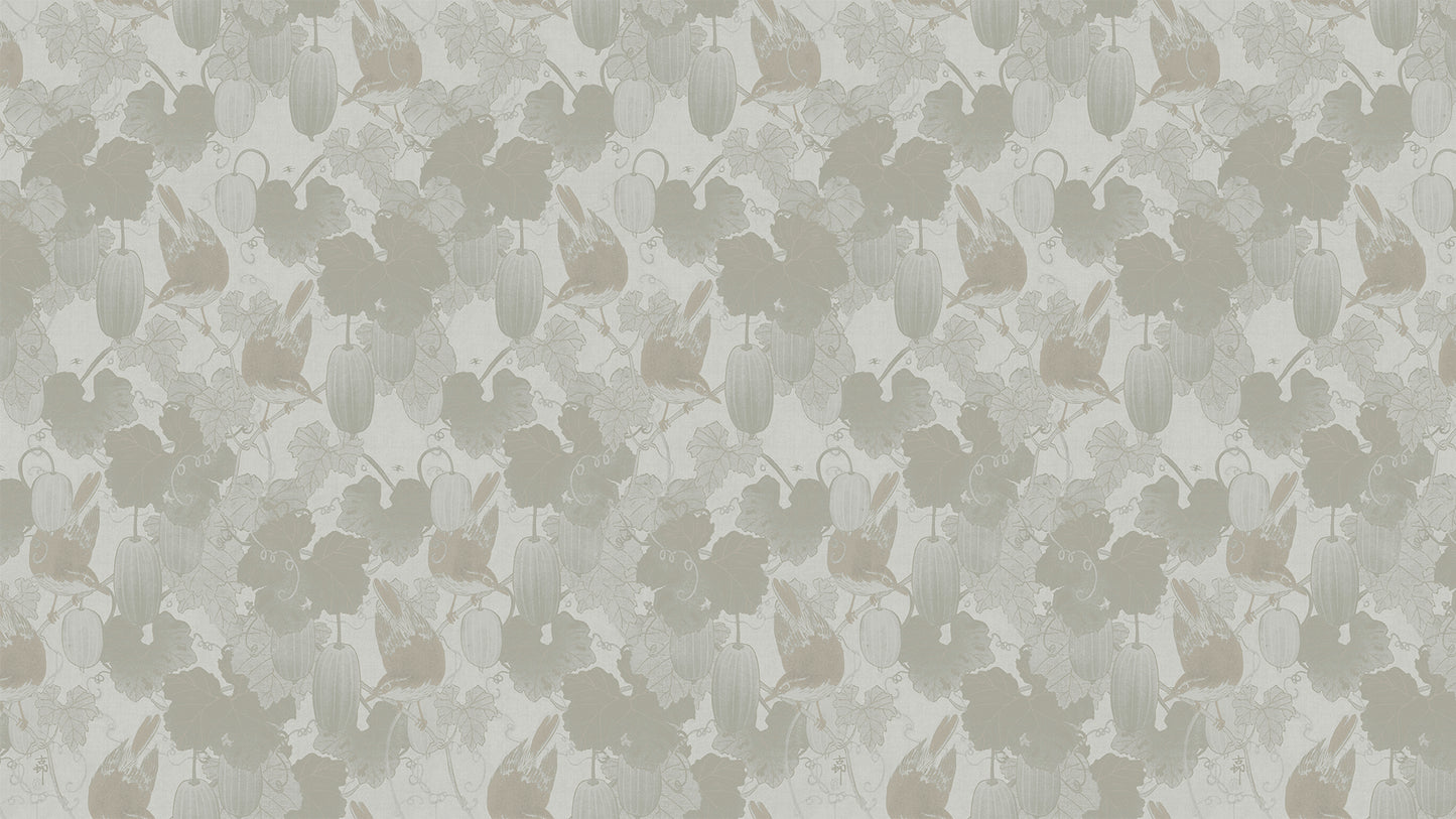 Flycatcher Cucumber – beige