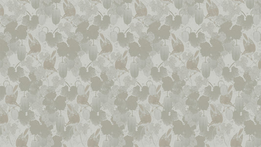 Flycatcher Cucumber – beige