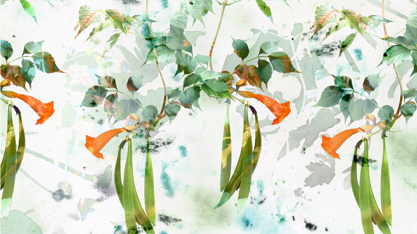 Flora