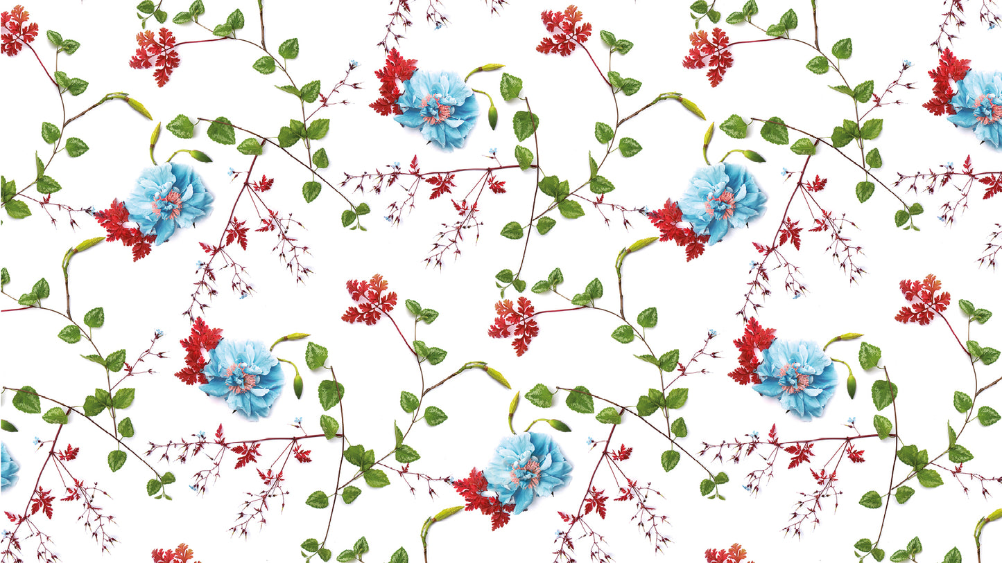 Herb Robert & Rose