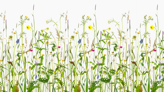 Marginal Plants