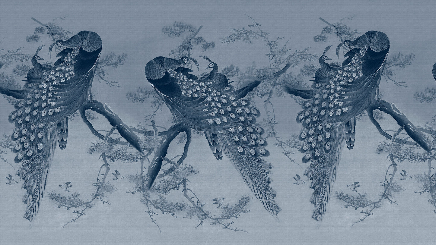 Peacocks in blue