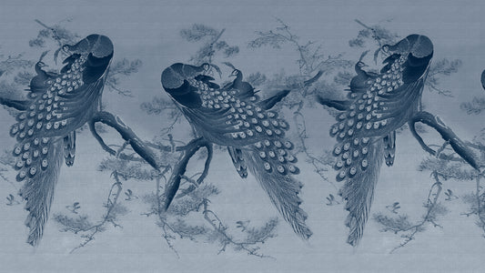 Peacocks in blue