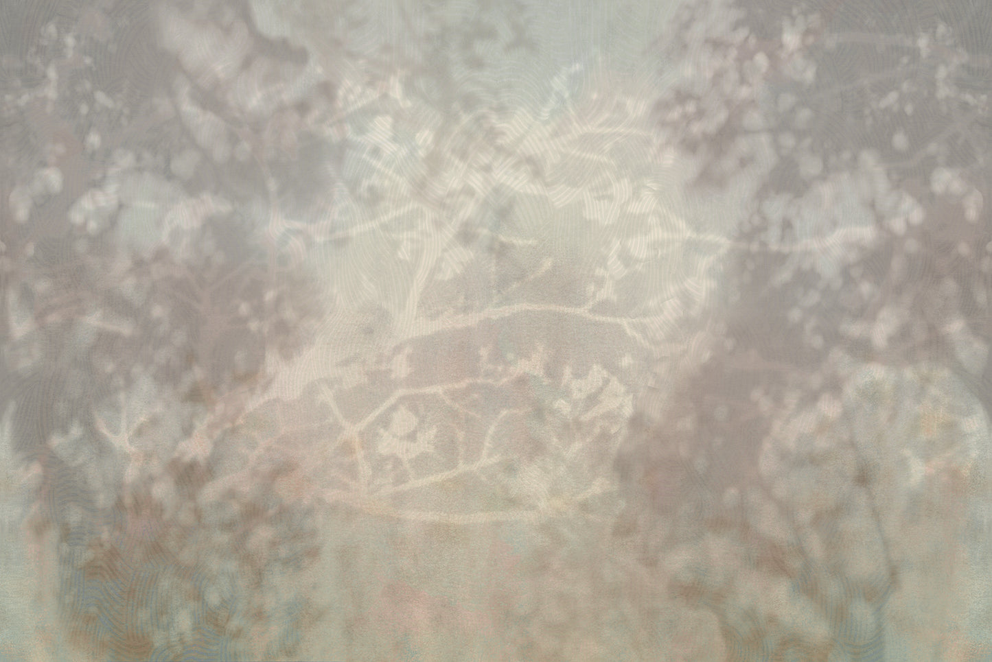 Dreamshade