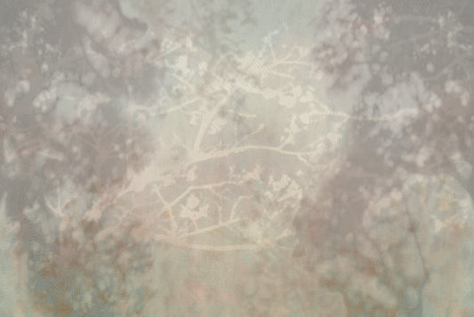 Dreamshade